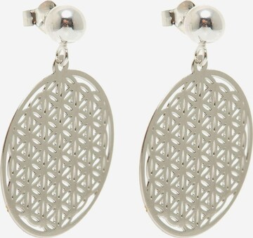 Boucles d'oreilles Gemshine en argent