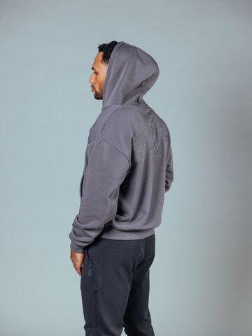 Lifters Sweatvest 'Athletes Choice Zip Hoodie Unisex' in Grijs