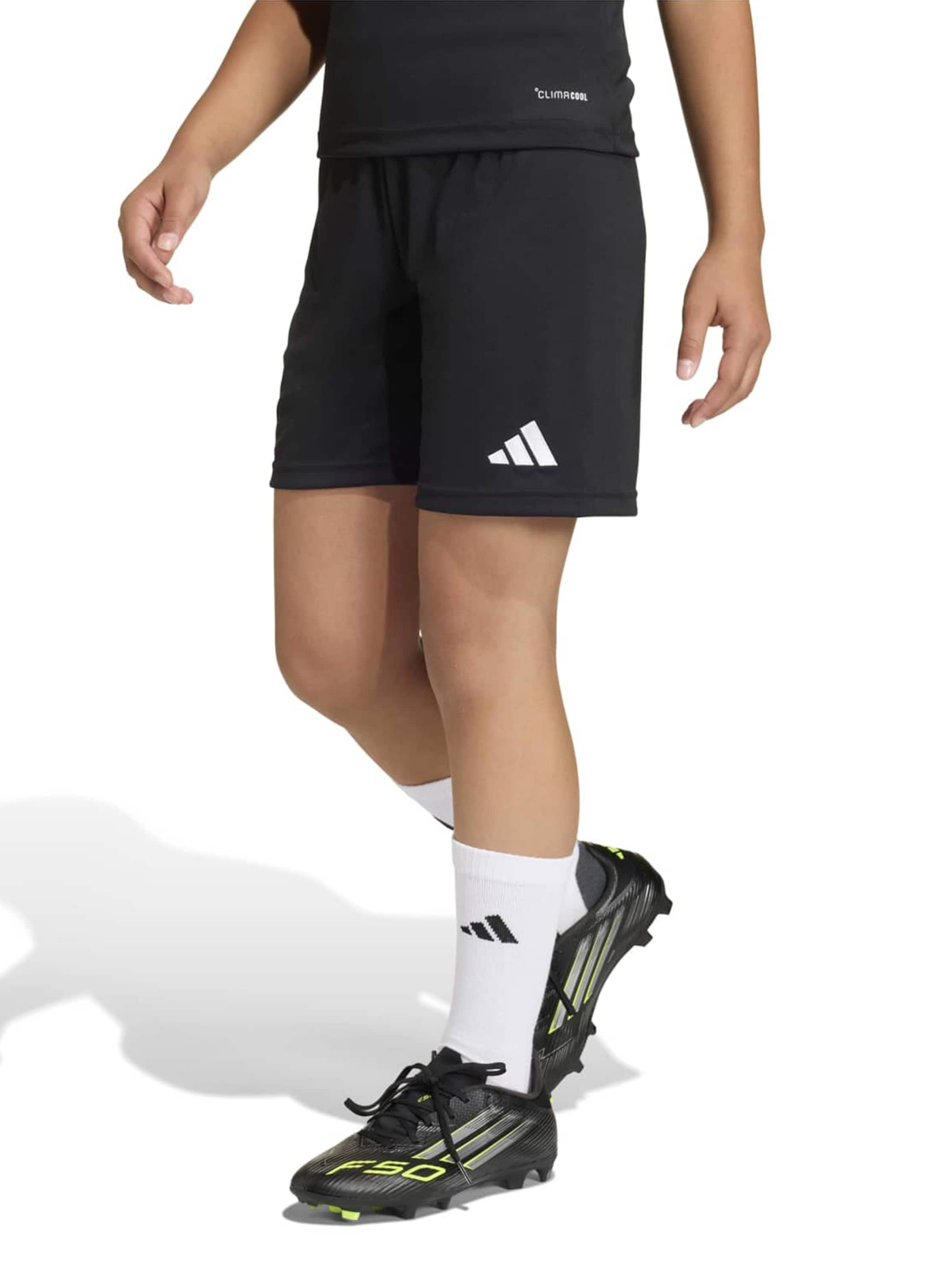 ADIDAS PERFORMANCE Regularen Športne hlače 'ENT26' | črna barva: sprednja stran