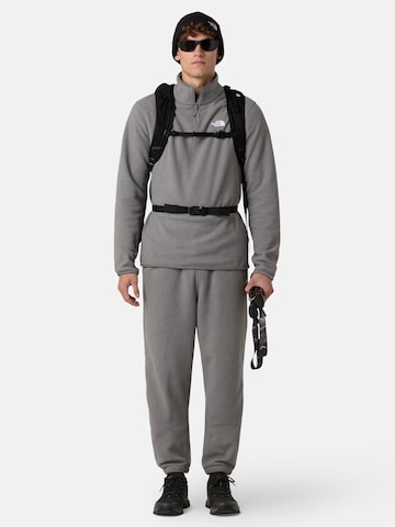 Pullover sportivo 'Glacier' di THE NORTH FACE in grigio