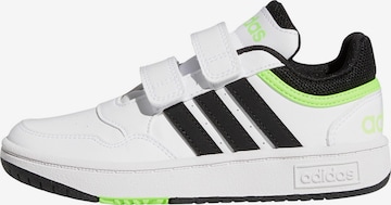 ADIDAS ORIGINALS Sneakers 'HOOPS 3.0' in White: front