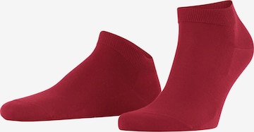 FALKE Socken 'ClimaWool' in Rot: Vorderseite