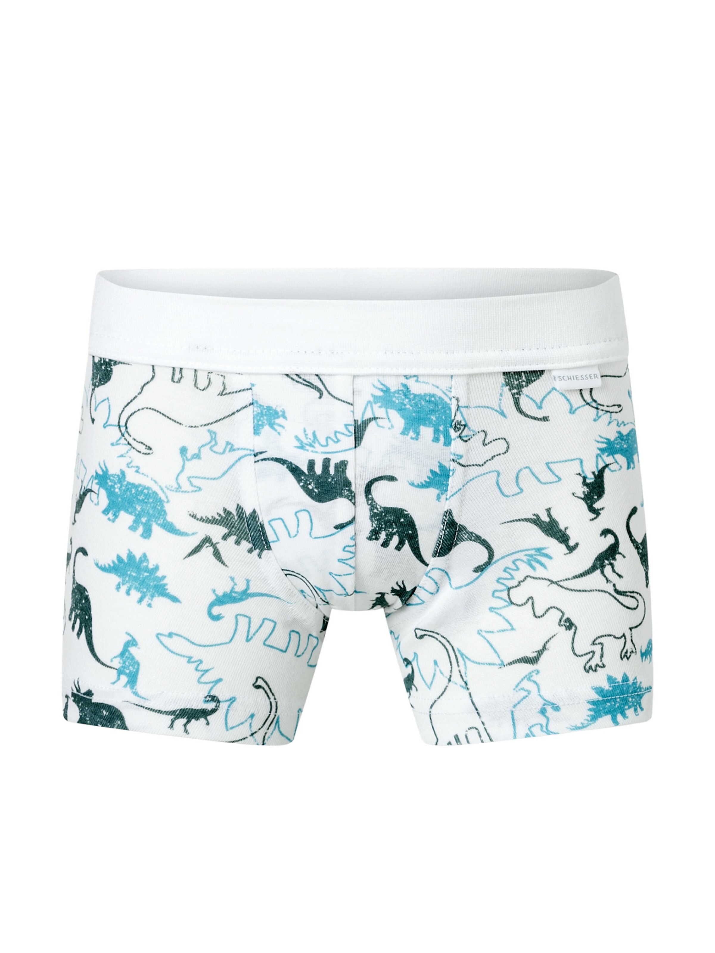 Sous-vêtements SCHIESSER en mélange de couleurs