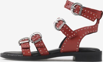 BRONX Sandalen met riem ' Thrill ' in Rood: voorkant