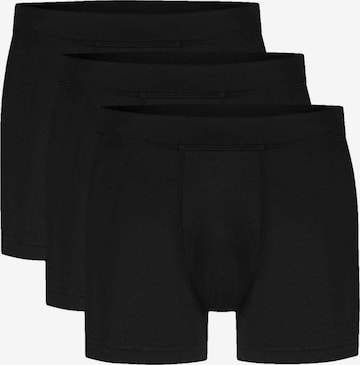 Ten Cate Boxer shorts in Black: front