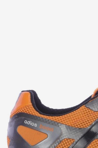 ADIDAS PERFORMANCE Sneakers & Trainers in 43,5 in Orange
