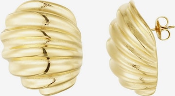 Cala Rose Ohrringe 'CALISTA' in Gold: Vorderseite