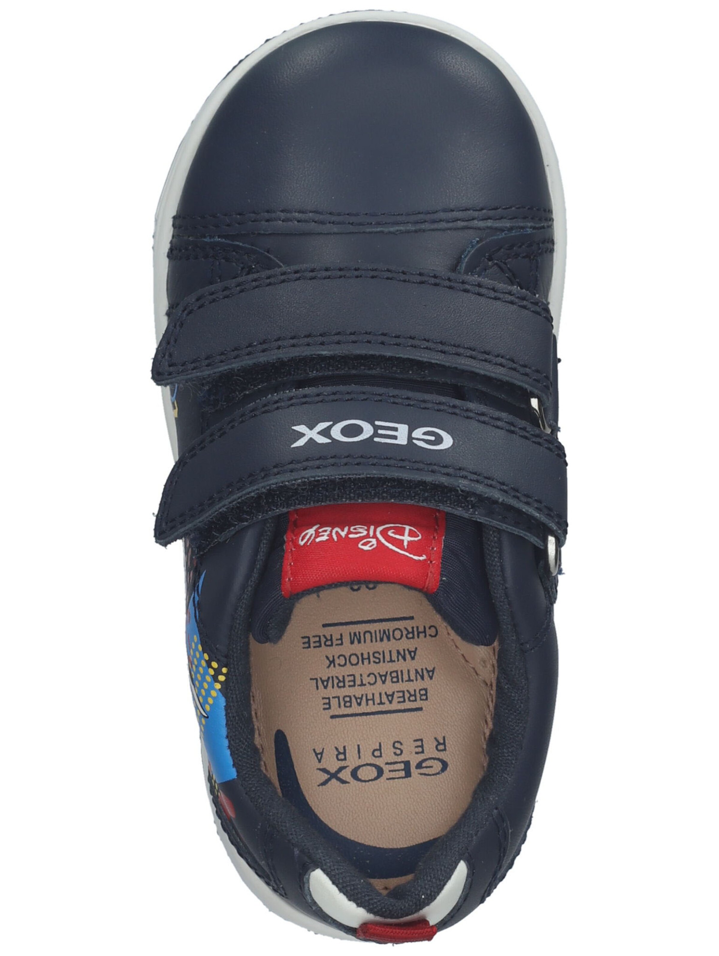 GEOX Sneaker in Blau