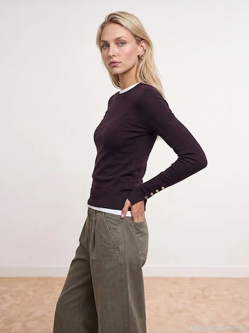 Pull-over 'Pullover' Dilvin en rouge : devant