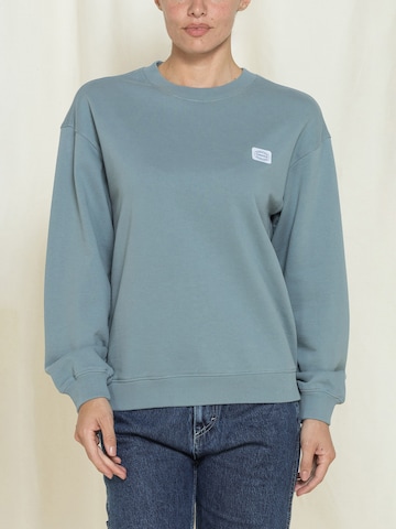 Carrera Jeans Sweatshirt‌ in Grün