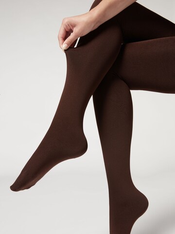 CALZEDONIA Tights 'thermo' in Brown: front