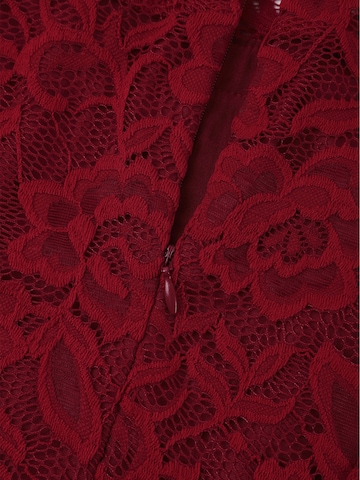 LapaPlus Kleid in Rot