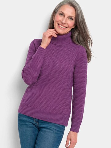 Goldner Sweater in Purple: front