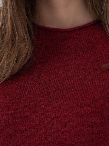 Bigdart Strickkleid in Rot