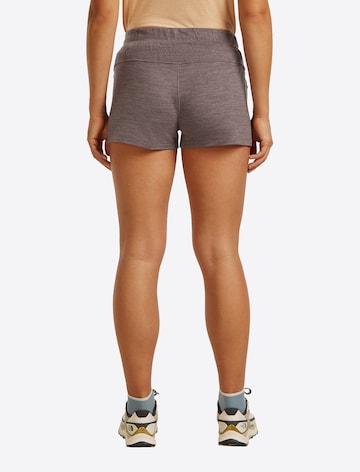 Slimfit Pantaloni outdoor 'Crush II' de la ICEBREAKER pe maro