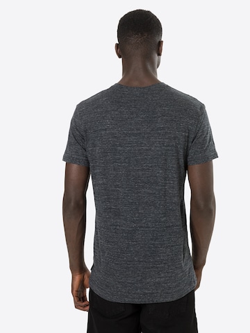 Iriedaily T-Shirt 'Chamisso' in Grau