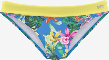 VENICE BEACH Bikini Bottoms in Blue: front