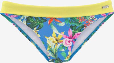 kék / sárga / zöld / piros VENICE BEACH Bikini nadrágok, Termék nézet