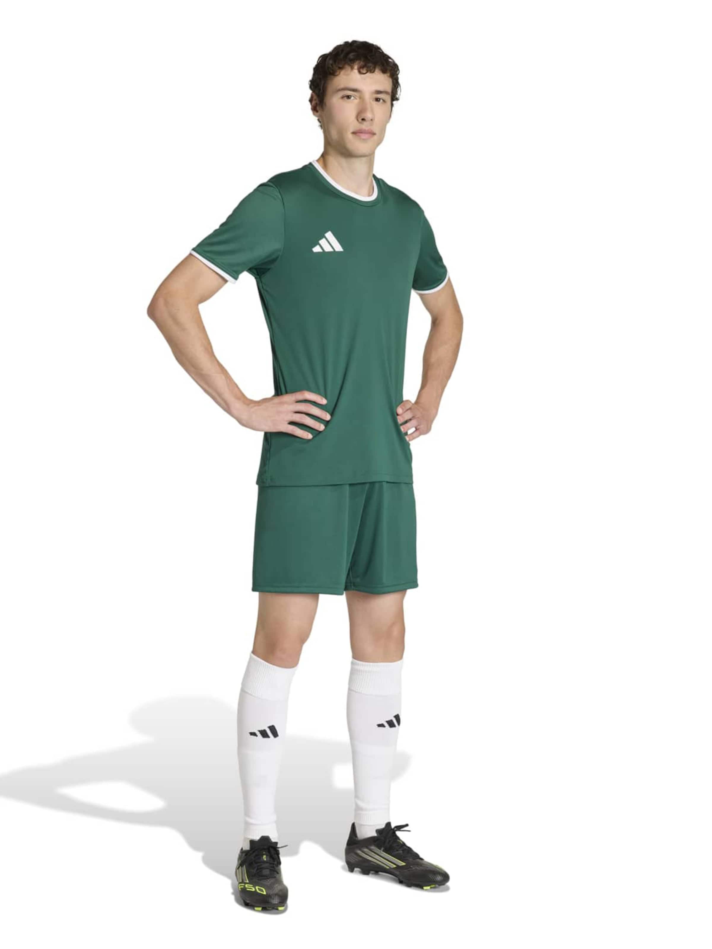 ADIDAS PERFORMANCE Funkcionalna majica 'ENT26' | zelena barva