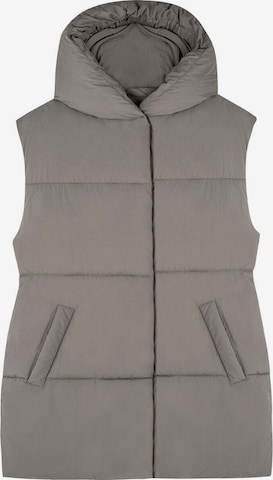 Scalpers Vest in Grey: front