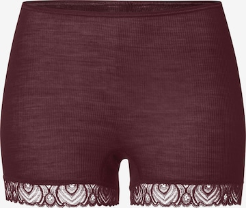 Culotte 'Woolen Lace' Hanro en marron : devant