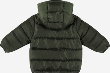 OVS Winter Jacket in Green