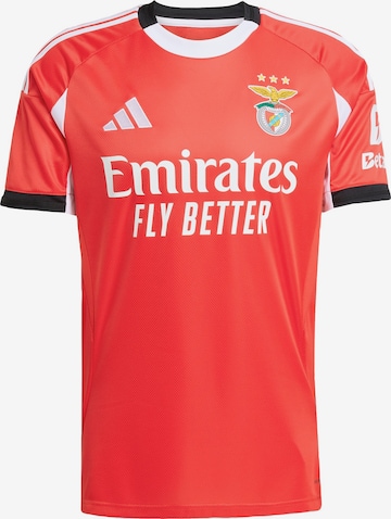 raudona ADIDAS PERFORMANCE Triko 'Benfica 25/26': priekis