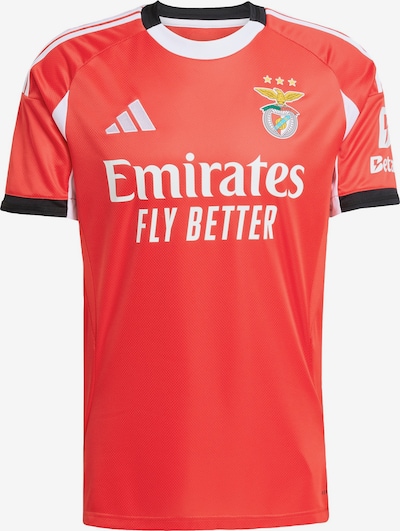 Triko 'Benfica 25/26' iš ADIDAS PERFORMANCE, spalva – citrinos spalva / raudona / juoda / balta, Prekių apžvalga