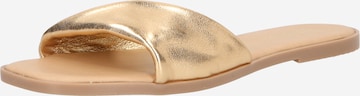ABOUT YOU Sandals 'Giuliana' in Gold: front