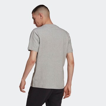ADIDAS ORIGINALS Shirt 'Adicolor Classics Trefoil' in Grey
