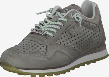 Cetti Sneakers in Grey: front
