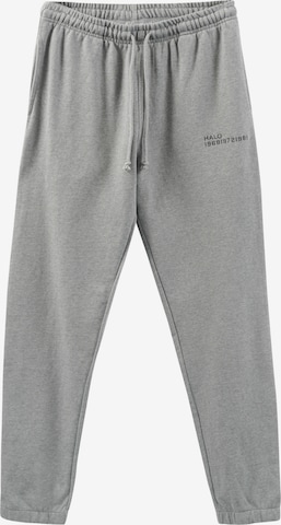 HALO Broek in Grijs: voorkant