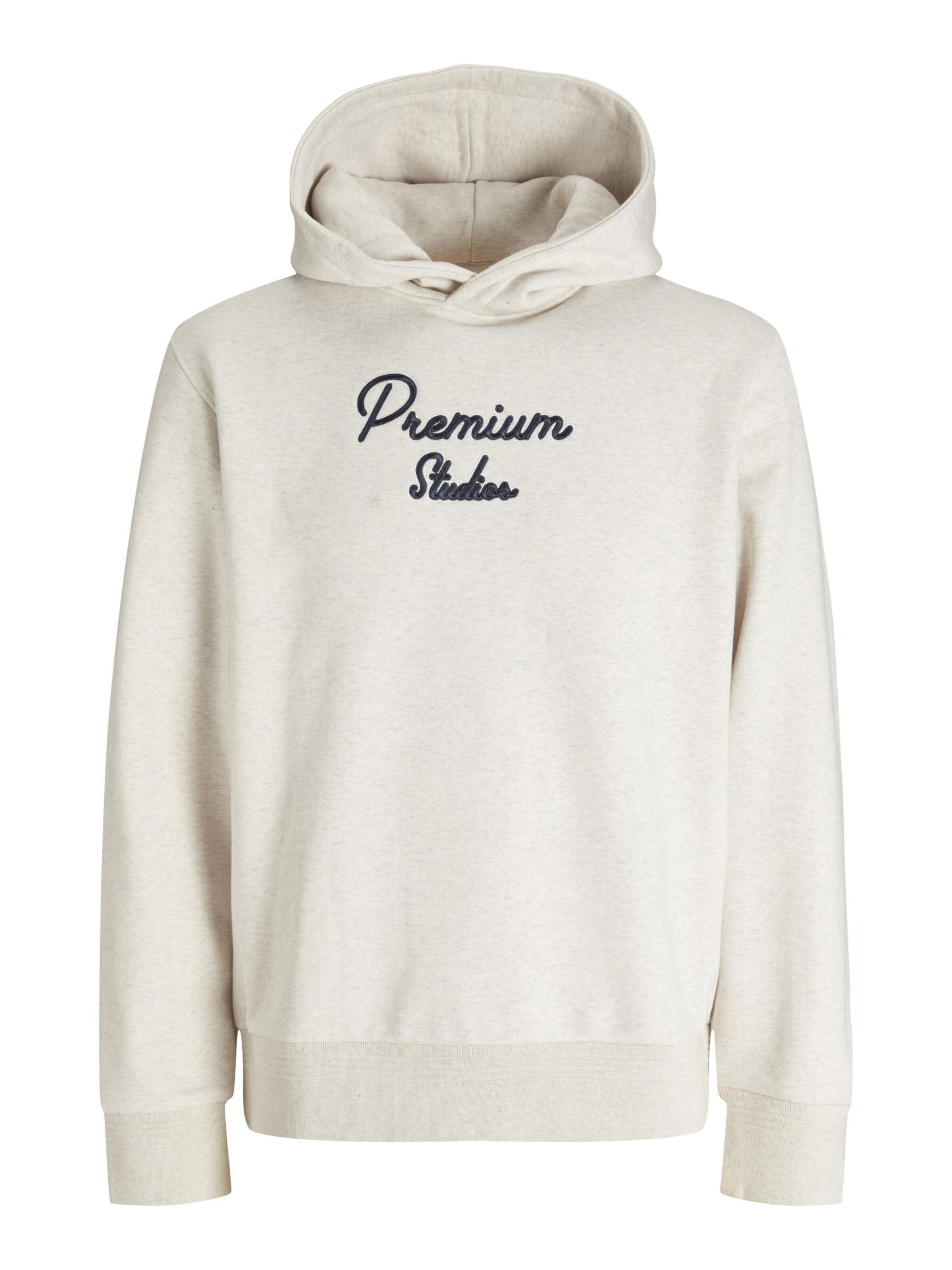 JACK & JONES Sweatshirt in Grey: front