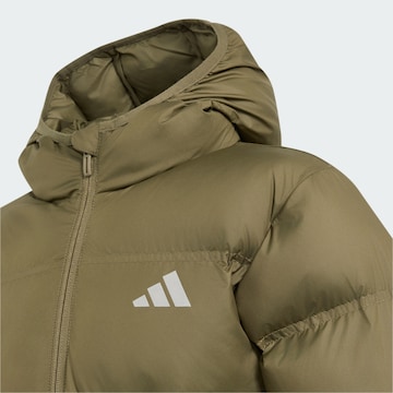 ADIDAS SPORTSWEAR Спортивная куртка 'SYNTHETIC DOWN' в Зеленый