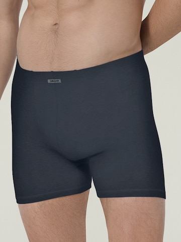 Boxers ' Close To You ' Ammann en bleu : devant