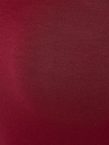 Hiccup Shirt in Rood