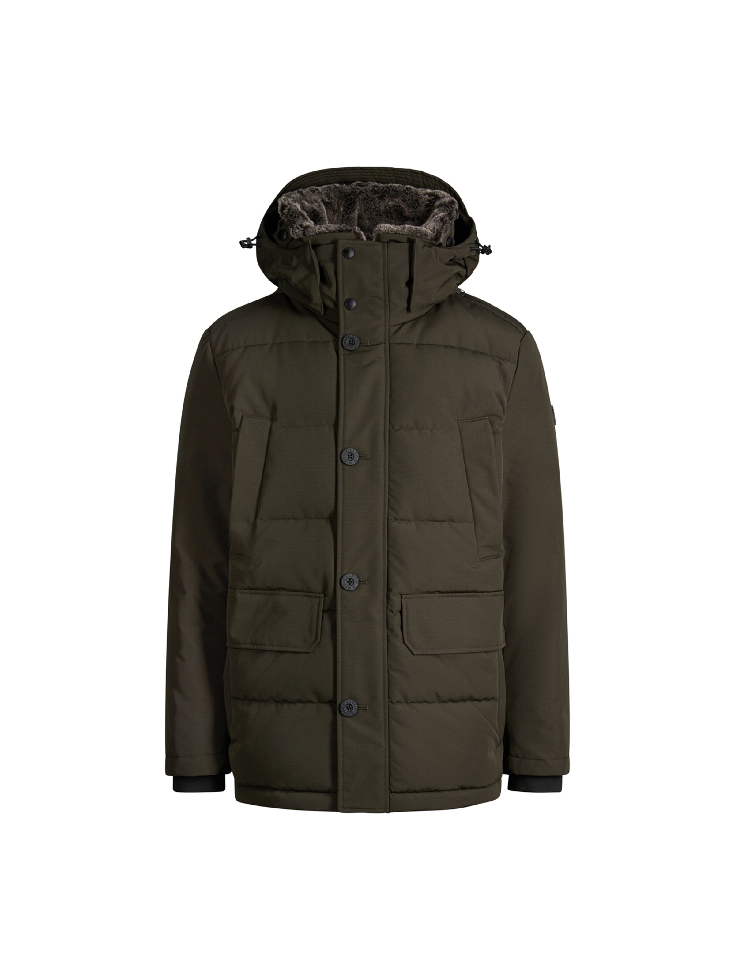 STRELLSON Winter jacket in Green: front