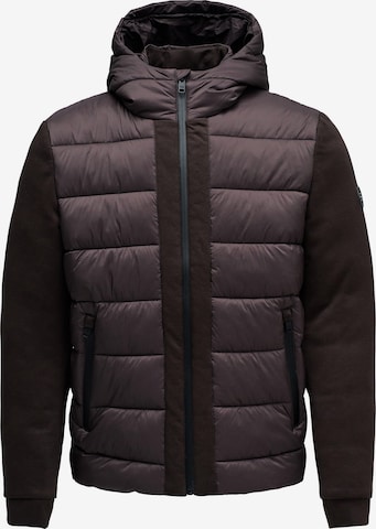 Salsa Jeans Winterjacke in Braun: Vorderseite
