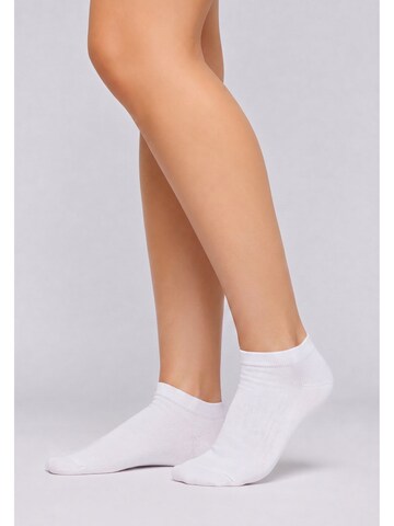 Calza velata di Betty Barclay in bianco: frontale