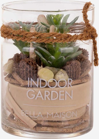 Bella Maison Artificial plants in Mixed colors: front