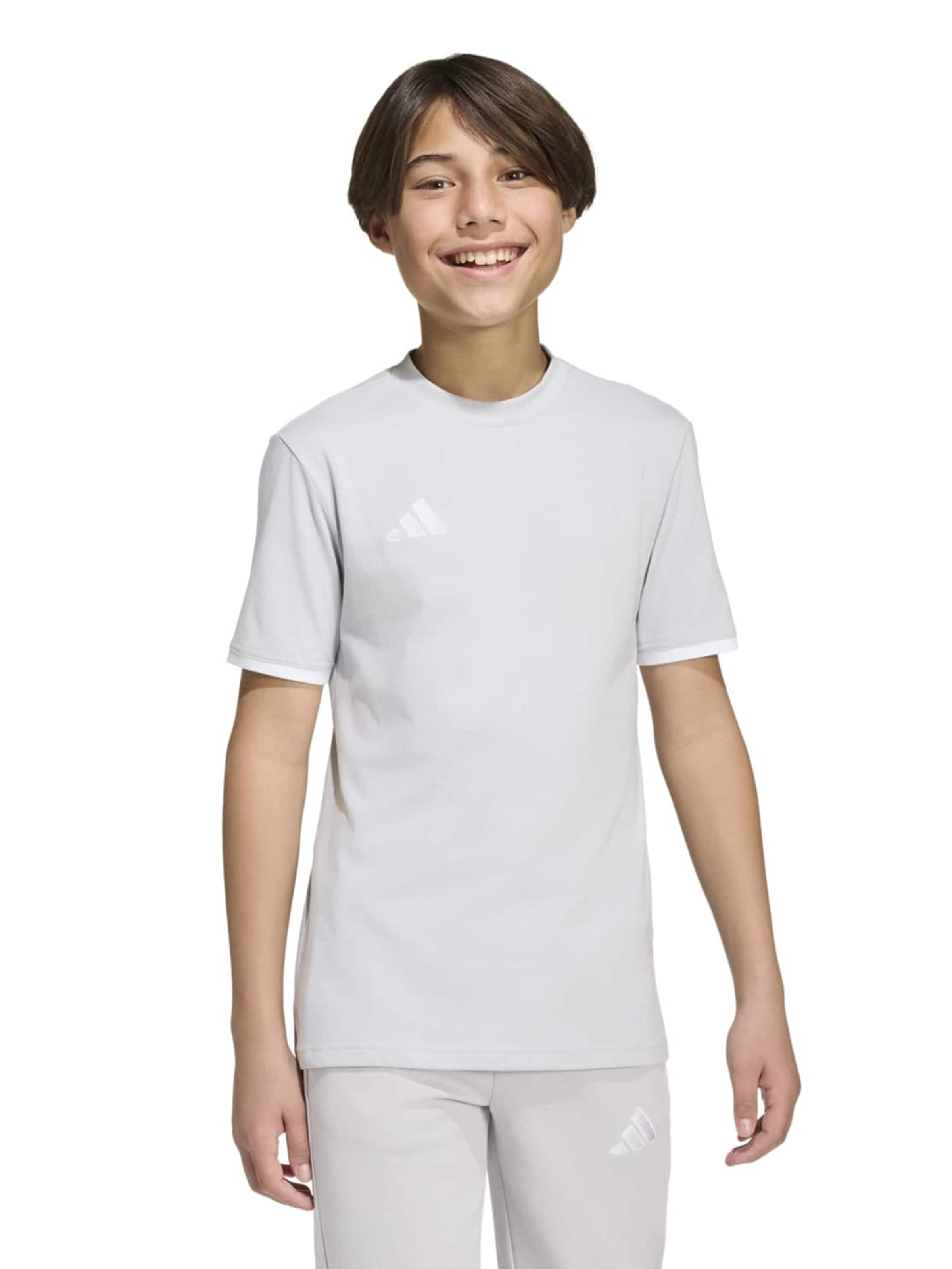 ADIDAS PERFORMANCE - Camiseta funcional 'ENT26' en gris: frente