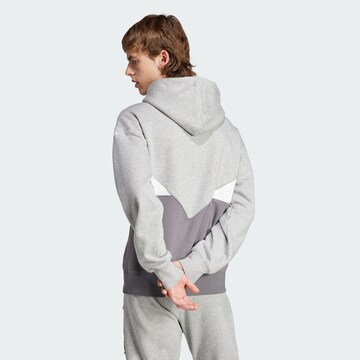 Sweat-shirt 'Adicolor Seasonal' ADIDAS ORIGINALS en gris