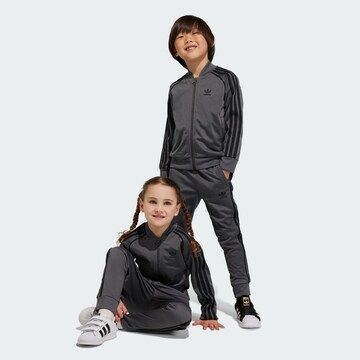 ADIDAS ORIGINALS Strój do biegania 'Adicolor Sst' w kolorze szary: przód
