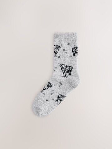 Next Socken in Grau