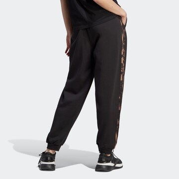 ADIDAS SPORTSWEAR Tapered Sporthose in Schwarz