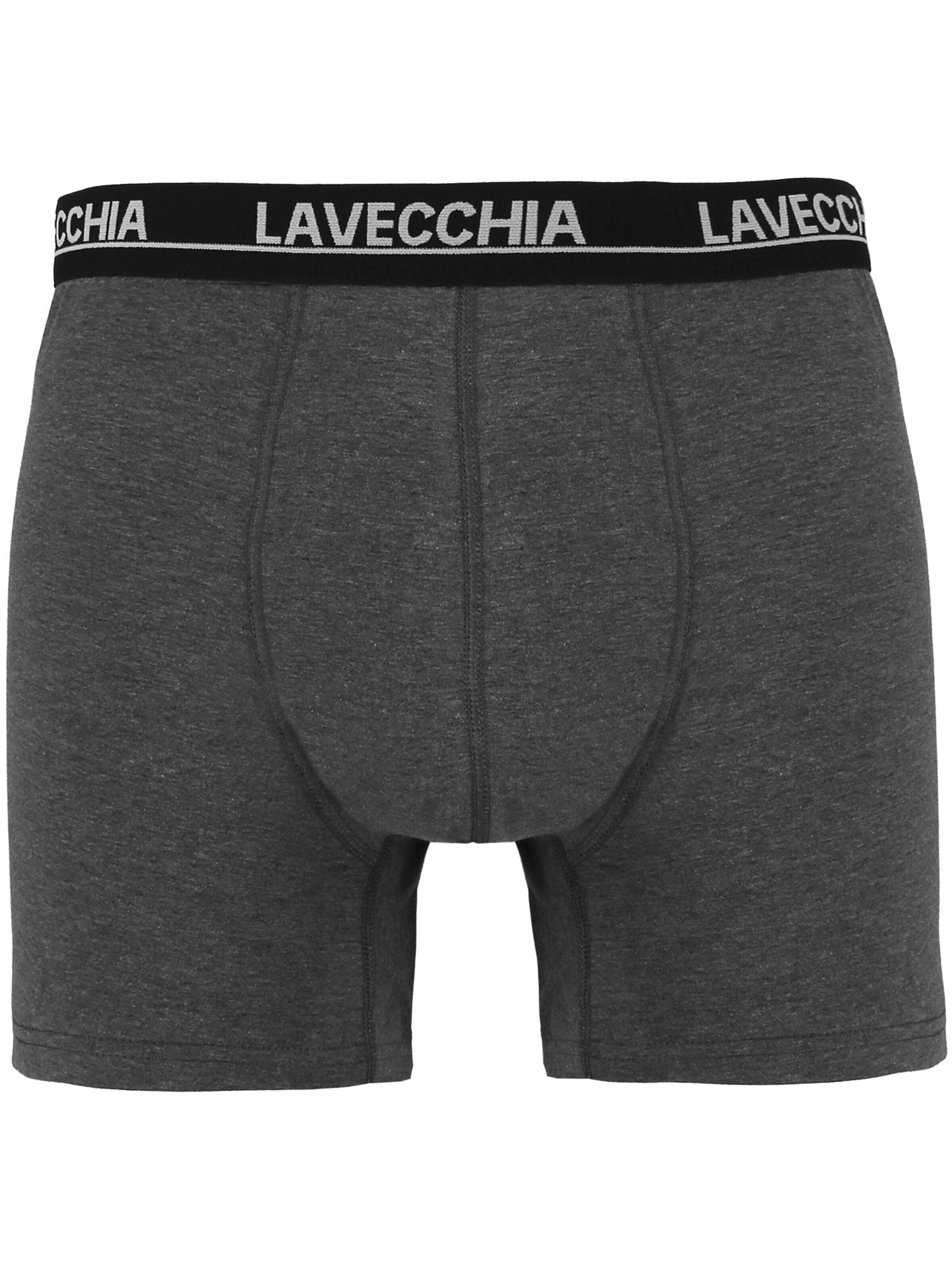 Lavecchia Boxershorts 'FL-1020 Übergrößen' i grå