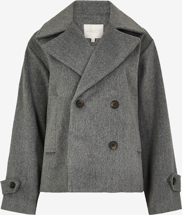 Apricot Klederdrachtjas in Grijs: voorkant