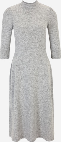 Dorothy Perkins Petite Knit dress in Grey: front