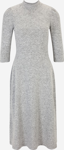 Robes en maille Dorothy Perkins Petite en gris : devant