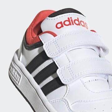 Baskets 'Hoops' ADIDAS SPORTSWEAR en blanc
